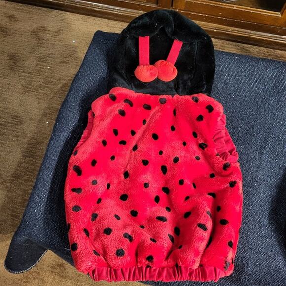 Ladybug and bumblebee kids hoodie halloween costumes size 12-24 months - Picture 2 of 7